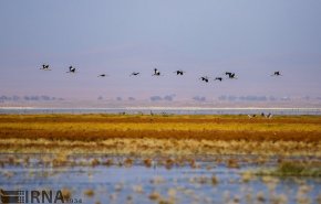 تالاب میقان