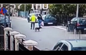 شاهد بطل مواقع التواصل... كلب ضال يلقن لصا درسا قاسيا