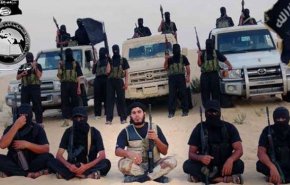 مصر: إحالة 11 متهما في أنصار بيت المقدس للمفتي 
