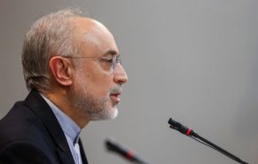 صالحی: نخریدن آب سنگین از ایران مشکل آمریکایی‌ها است