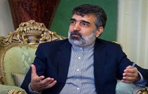 کمالوندی: توقف فروش آب سنگین ایران، خبرسازی است