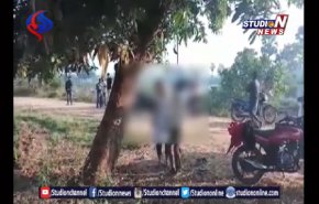 شاهد... زوجان يشنقان أنفسهما في شجرة على الطريق