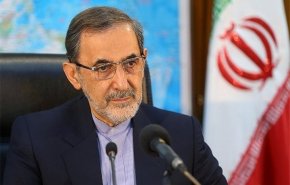ولایتی: نامه رهبر معظم انقلاب به جوانان غربی یک کار ابتکاری مهم است
