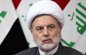دیدار رییس مجلس اعلای اسلامی عراق با شمخانی 