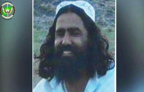  سرکرده ارشد القاعده در افغانستان به هلاکت رسید