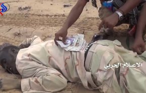تلفات سنگین مزدوران سعودی در شبوه و الجوف
