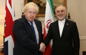 جانسون با علی‌اکبر صالحی دیدار کرد