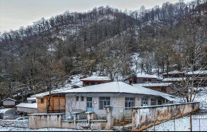 طبیعت برفی ماسوله