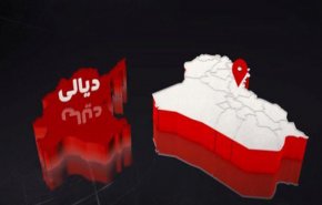 من إبادة الكلاب إلى زراعة المخدرات.. فتاوى داعش في المطيبيجة  
