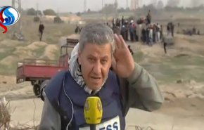 گلوله هایی که از بالای سر خبرنگار العالم رد شدند + فیلم