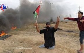 سازمان ملل درباره شهادت فلسطینی معلول تحقیق می‌کند
