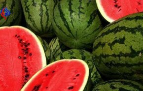 روش های انتخاب بهترین هندوانه برای شب یلدا +ویدئو