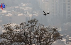 هوای تهران همچنان ناسالم است