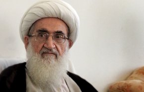 المرجع نوري همداني: الشعب سيرد على مثيري الفتنة