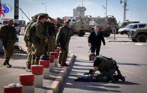 كيان الاحتلال أعدم 201 فلسطيني ميدانيا