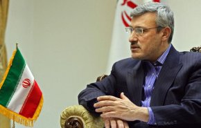 بعیدی نژاد: رضا پهلوی به جای نظم دادن به فعالیتهای سیاسی به امورات خانه اش سامان دهد