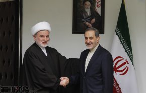 تصاویر/ دیدار رییس مجلس اعلای اسلامی عراق با ولایتی
