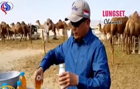 شاهد:مسؤول إندونيسي يشرب بول الإبل بالسعودية!! 