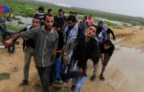  إصابة 108 فلسطينيين بنيران الاحتلال في جمعة الغضب(فيديو)