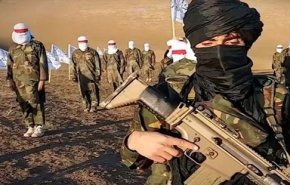 طالبان:آمریکا را مجبور به‌خروج از افغانستان می‌کنیم