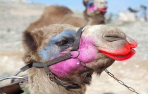 السعودية: حرمان 
