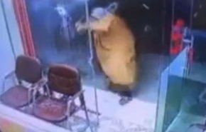 شاهد.. كيف واجه أصحاب صرافة بالبصرة سطوا مسلحا !