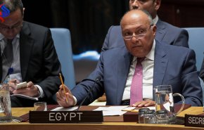شكري يكشف سبب دعم مصر لـ 