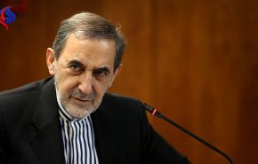 ولایتی: نقد دولت موجب سیاه‌نمایی دستاوردهای نظام نشود