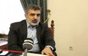 کمالوندی: یک تیم فنی روسیه برای نصب تجهیزات ایزوتوپ های پایدار در فردو به ایران می آید