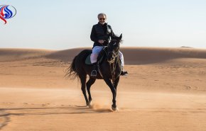 أول تغريدة للوليد بن طلال بعد الإفراج عنه (صور)
