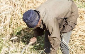 مصر ترشد استهلاك المياه بـ900 مليار جنية
