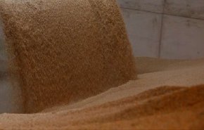 السعودية تطرح مناقصة لشراء مليون طن من هذه المادة !!