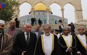 شاهد 