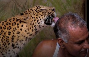 شاهد : رجل يتقاسم منزله مع الفهود والضباع!!