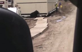 شاهد فيديو أشعل مواقع التواصل الإجتماعي !