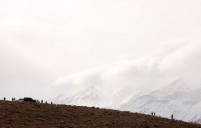 نخستین گروه از پیکرهای حادثه سقوط هواپیما منتقل شد 