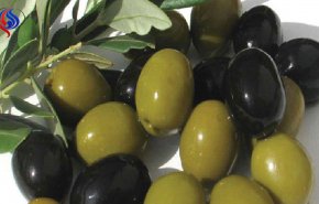 فوائد صحية مذهلة للزيتون, وما الفرق بين الأسود والأخضر؟