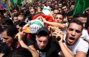شهادت 9 فلسطینی تنها در ماه فوریه 