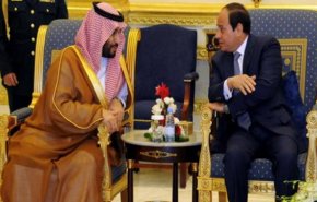 مواضع مصر و عربستان به هم نزدیک شده است

