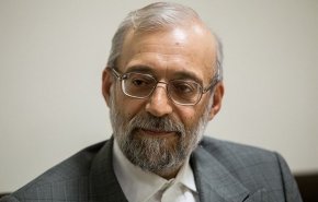 لاریجانی: آمریکا و اروپا صلاحیت صحبت در امور حقوق بشر را ندارند