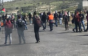 درگیری دانشجویان دانشگاه بیرزیت و ارتش صهیونیستی / بازداشت یک جوان فلسطینی در «طولکرم» + تصاویر