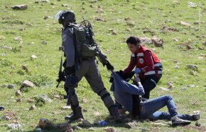 امدادرسانی زن شجاع فلسطینی در مقابل کفتارها + تصاویر