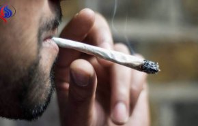 دولة عربية في قائمة أكثر الدول تدخينا للحشيش!
