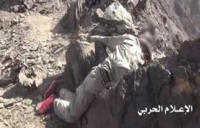 کشته و زخمی شدن شماری مزدور سعودی در تعز