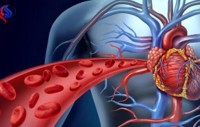 لماذا يظهر الدم بلون أزرق على الجلد رغم أنه في الحقيقة أحمر؟