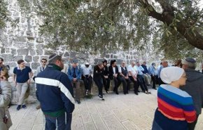 بالفيديو: مستوطنون يقتحمون ساحات المسجد الأقصى المبارك بالرقص والغناء