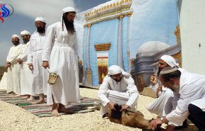 لأول مرة، طقوس يهودية على بعد أمتار من المسجد الأقصى

