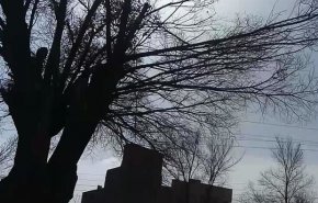 هشدار هواشناسی درباره وقوع تند باد تا سرعت ۸۰ کیلومتر بر ساعت