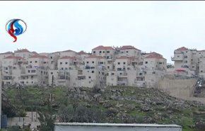 أين الارض وأين الاحتلال بعد 42 عاما على يوم الارض؟
