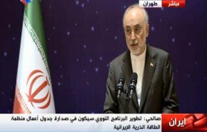 فیلم/ صالحی: دیوار بی اعتمادی در برجام پابرجاست 